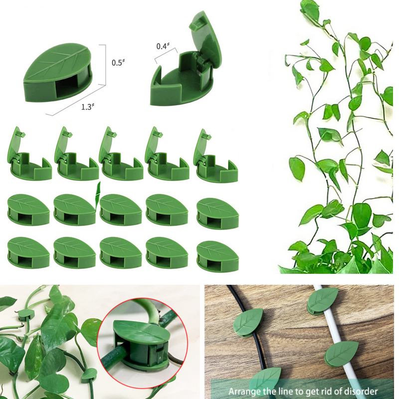 Wall Anchor Plastic - Vô Hình Vật Có Hoa Leo