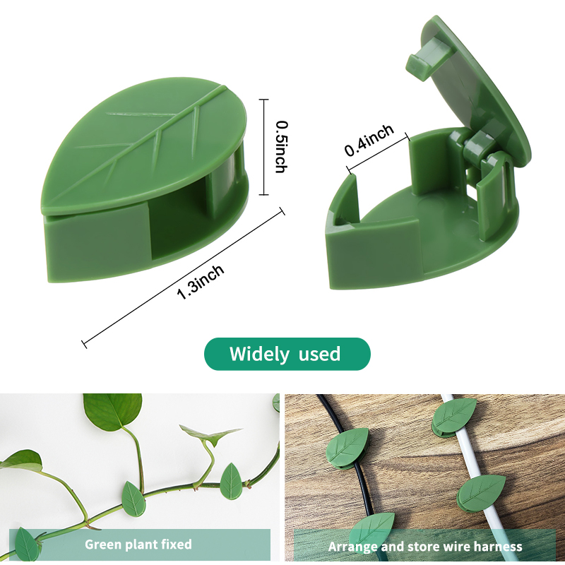 Vô Hình Vật Có Hoa Leo Tường Đ - đánh giá và giá Wall Anchor Plastic