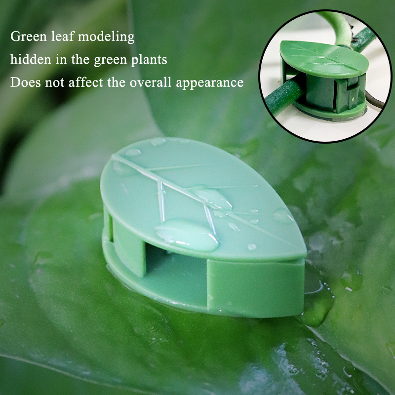 Vô Hình Vật Có Hoa Leo Tường Đ - đánh giá và giá Wall Anchor Plastic